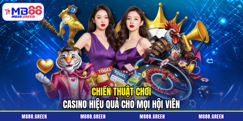 Chiến thuật chơi Casino hiệu quả cho mọi hội viên