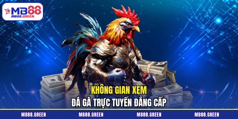 Không gian xem đá gà trực tuyến đẳng cấp