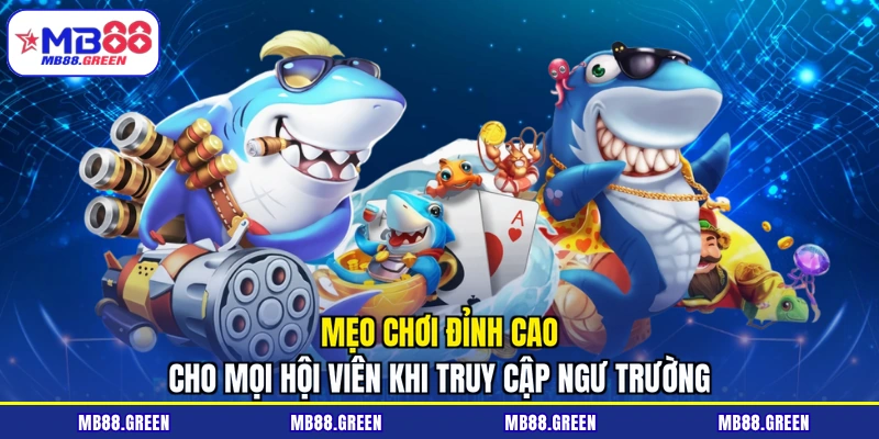 Mẹo chơi đỉnh cao cho mọi hội viên khi truy cập ngư trường